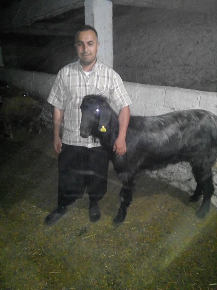 Yayla Kasap Ve Et Mangal Pozantı / Adana 0 (536) 860 00