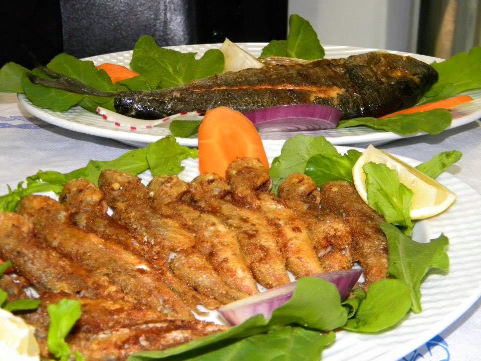 Kaptan et balık restaurant / Yozgat 0 (354) 415 55