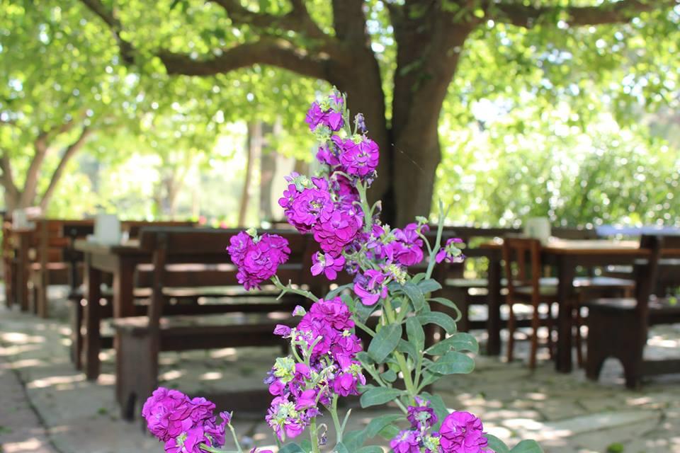 YÖRÜK AİLE EVİ Urla / İzmir 0 (232) 764 82 ** Birmilyonnokta