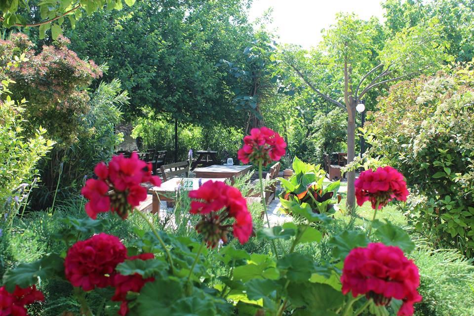 YÖRÜK AİLE EVİ Urla / İzmir 0 (232) 764 82 ** Birmilyonnokta