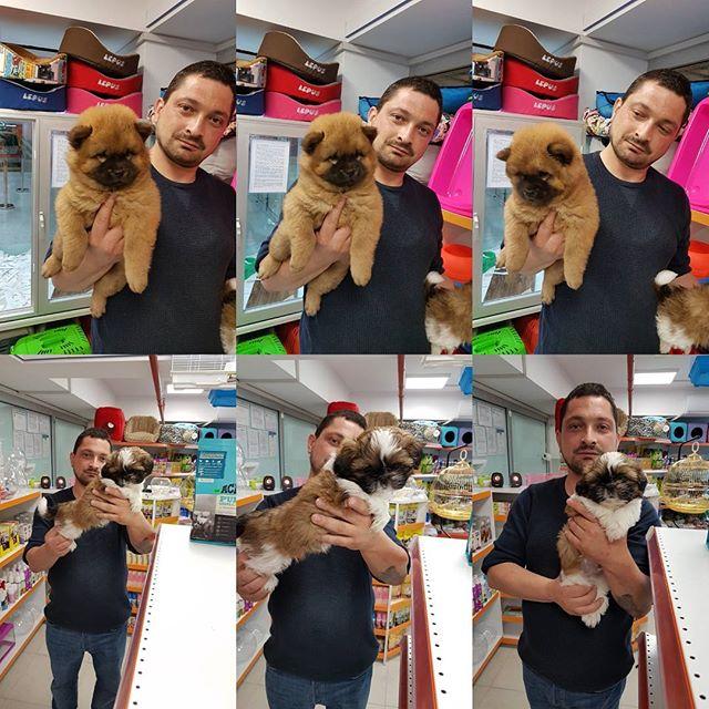Onur Tank Pet Market Nilufer Bursa 0 536 471 40 Birmilyonnokta