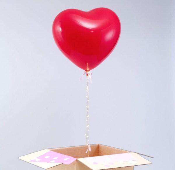 Dali Balon Çiçek Evi Foça / İzmir 0 (553) 218 84 ** Birmilyonnokta
