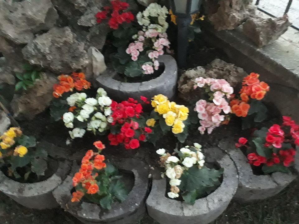 Bursa Bahcivan Kamil Sevinc Osmangazi Bursa 0 554 886 08 Birmilyonnokta