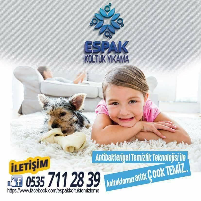 Espak Koltuk Yikama Tepebasi Eskisehir 0 535 711 28 Birmilyonnokta