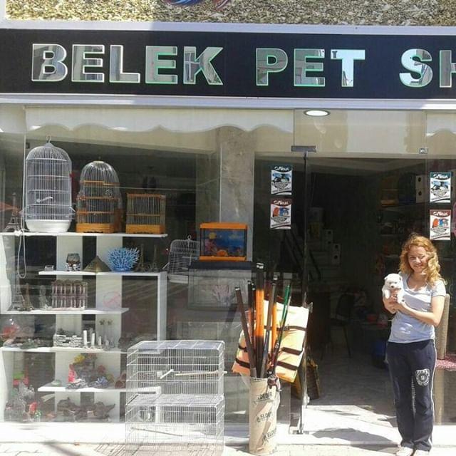 Belek Petshop Serik Antalya 0 507 895 46 Birmilyonnokta