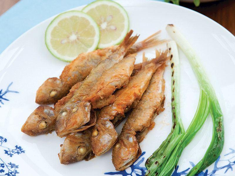 Altinova Balikcisi Ademin Yeri Altinova Yalova 0 226 461 30 Birmilyonnokta