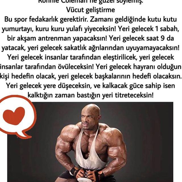 Hulk Fitness Center Mustafakemalpasa Bursa 0 224 612 12 Birmilyonnokta