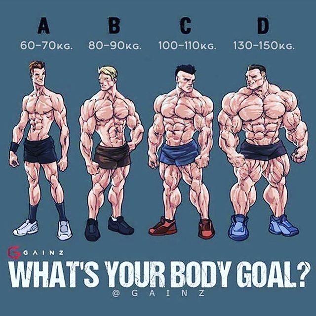 Hulk Fitness Center Mustafakemalpasa Bursa 0 224 612 12 Birmilyonnokta