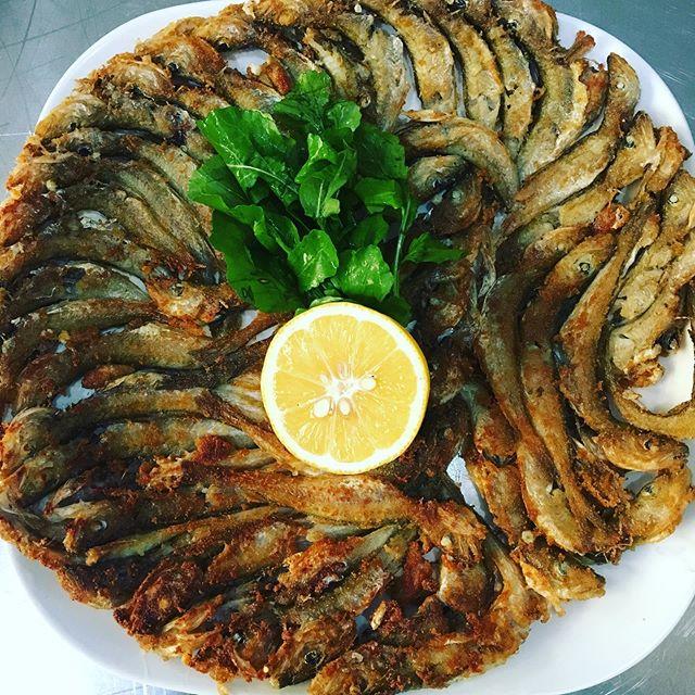 Kaptan Amca Balık Evi Manavgat / Antalya 0 (535) 669 24