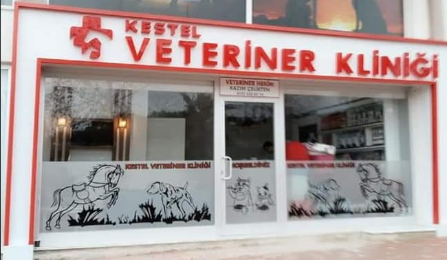 Kestel Veteriner Klinigi Alanya Antalya 0 532 688 85 Birmilyonnokta