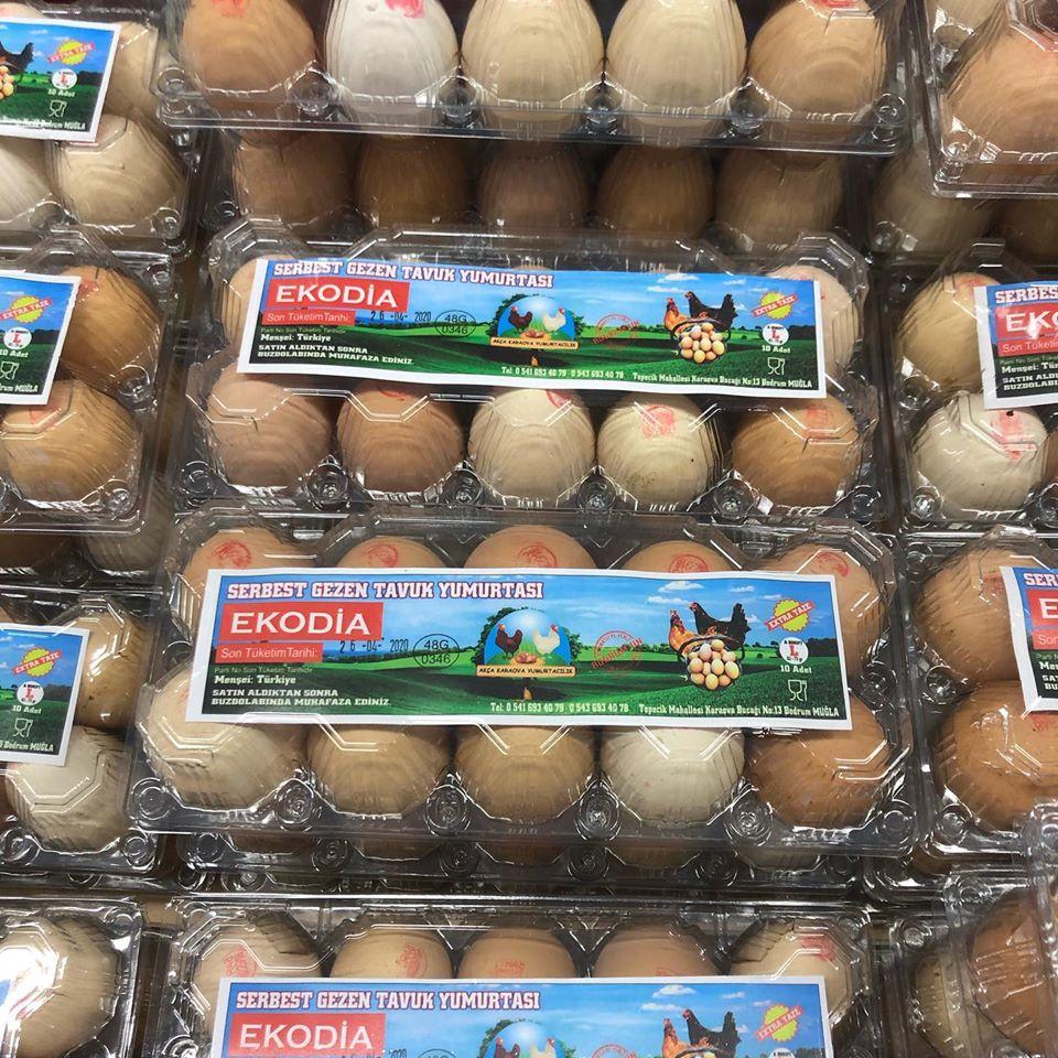Ekodia Supermarket Hastane Alti Bodrum Mugla 0 252 316 11 Birmilyonnokta