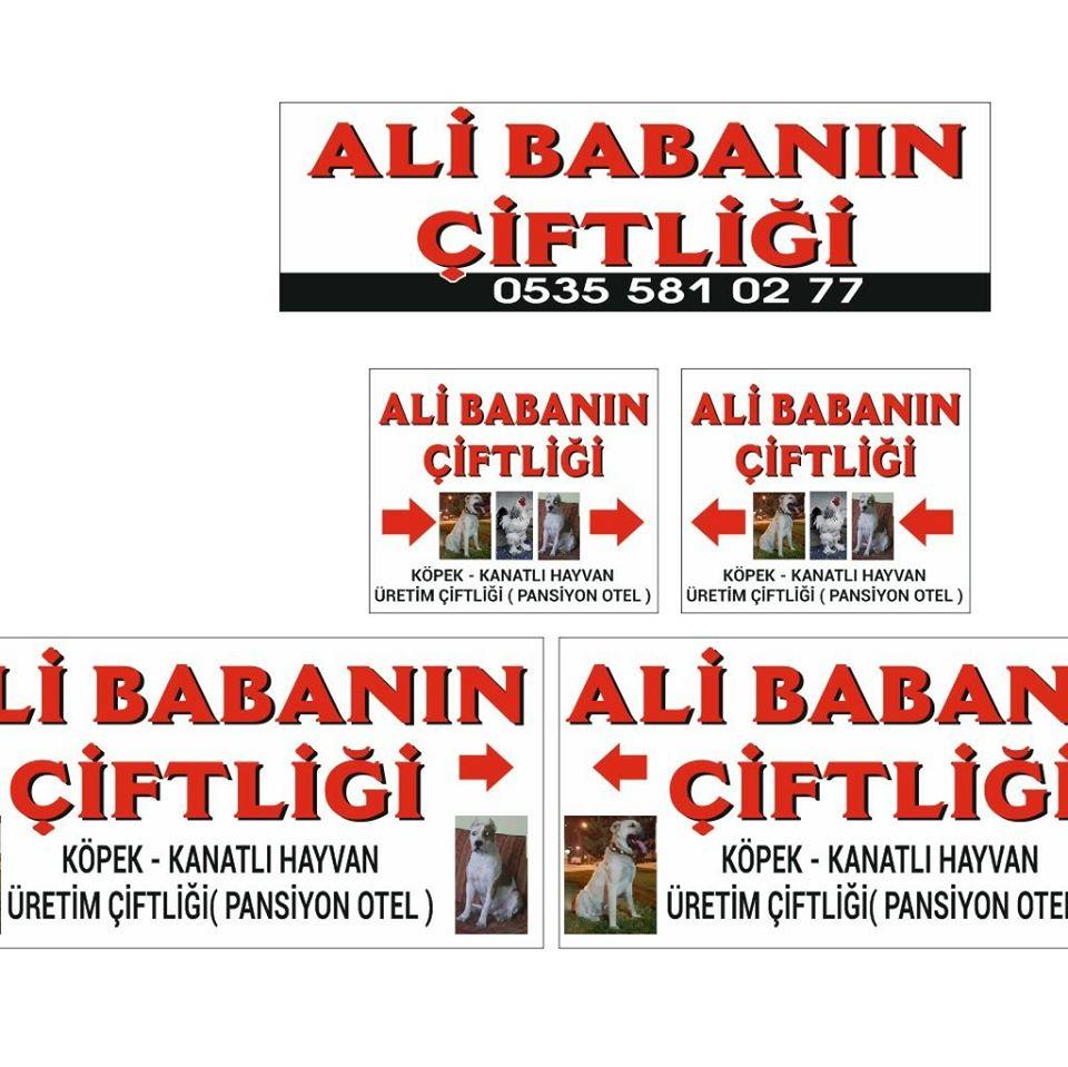 ali babanin cifligi kocasinan kayseri 0 535 581 02 birmilyonnokta