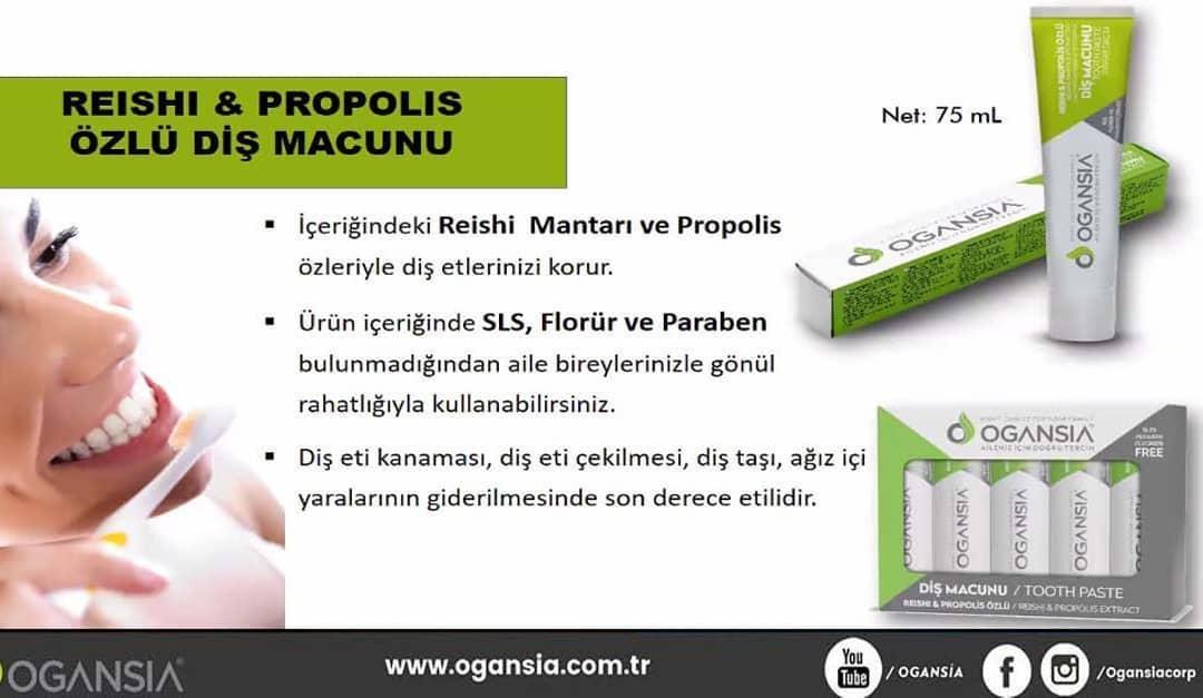 Pendik Ogansia Carsi Satis Noktasi Pendik Istanbul 0 541 457 84 Birmilyonnokta
