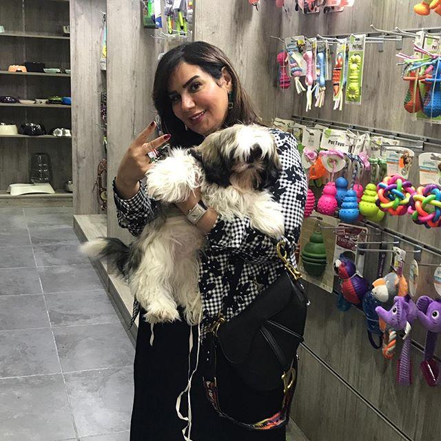 Pet Center Sariyer Sariyer Istanbul 0 212 801 91 Birmilyonnokta