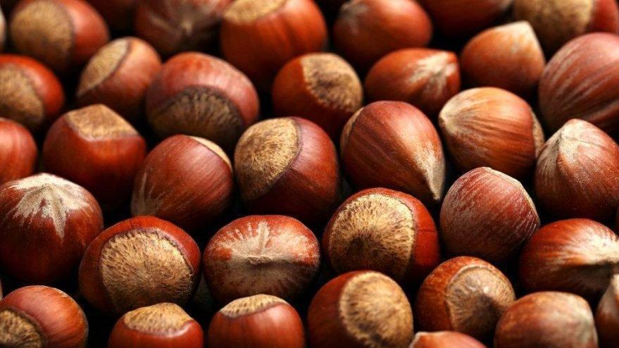 Toptan Findik Siparisi Verin Cig Ve Kavrulmus Toptan Kuruyemis Marketi