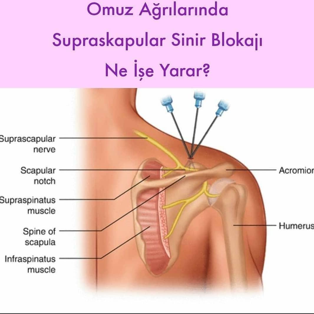 Uzman Doktor Meryem Ozbas Gunay Klinigi Bayrakli Izmir 0 232 203 62 Birmilyonnokta
