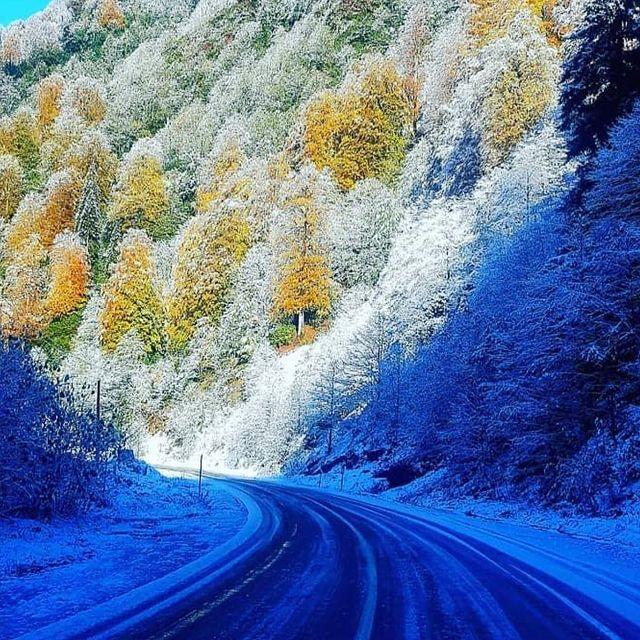 Villa Yaman Ayder ( Ayder Alo Bungalov Ev Kiralama ) Çamlıhemşin