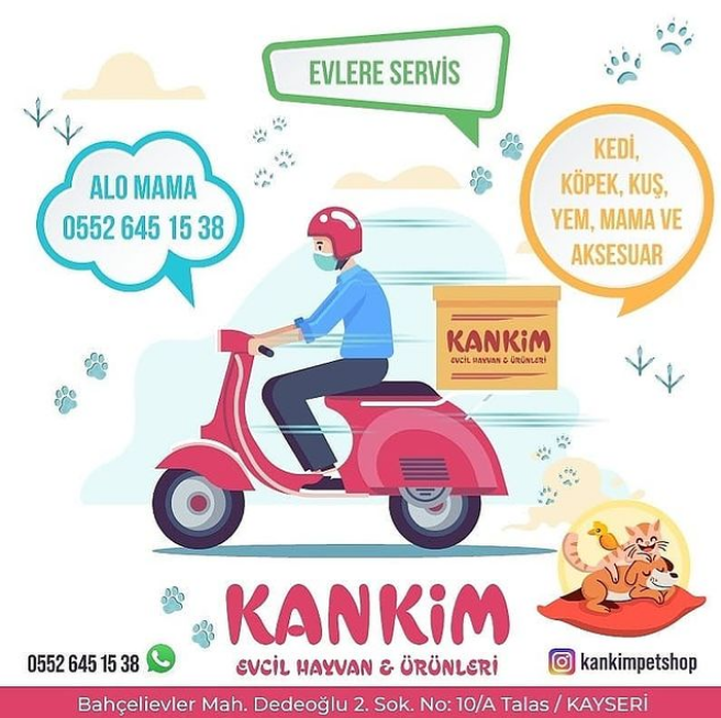 kankim petshop talas kayseri 0 552 645 15 birmilyonnokta