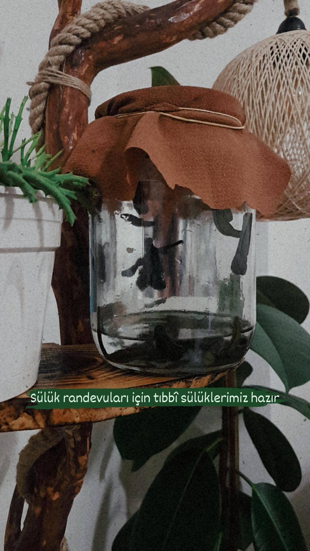 Evde Hemşirelik Hizmeti Evla Hemşire Adapazarı / Sakarya 0 (539