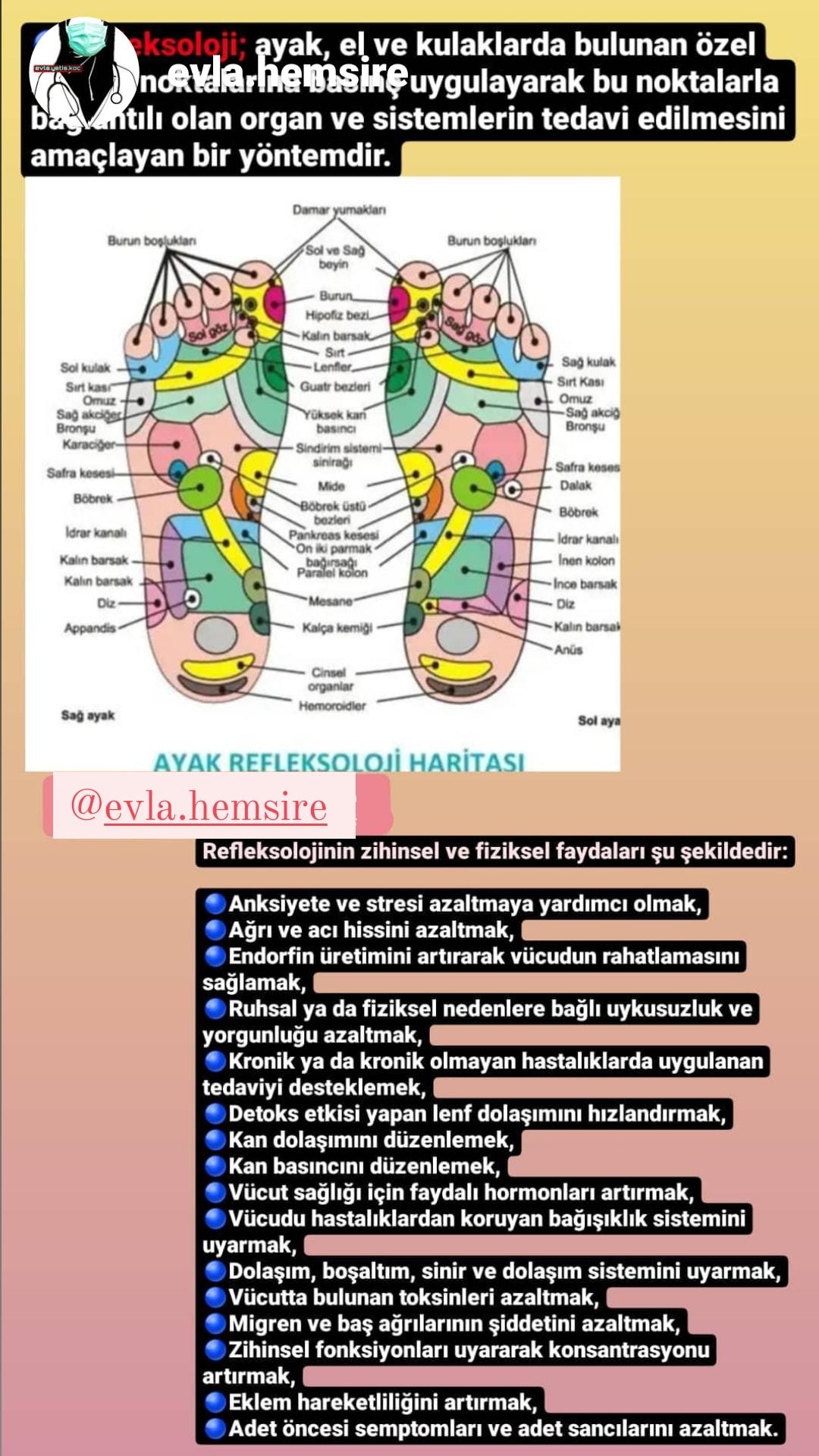Evde Hemşirelik Hizmeti Evla Hemşire Adapazarı / Sakarya 0 (539