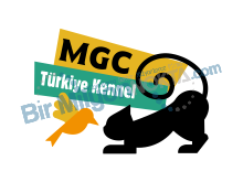 Mgc Türkiye Kennel