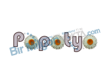 Papatya Apart