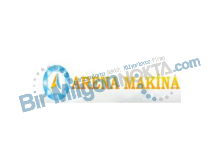 Arena Makina