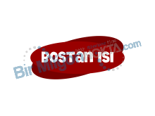 BOSTAN ISI