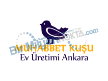 Muhabbet Kuşu Ev Üretimi Ankara
