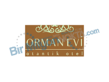 Orman Evi