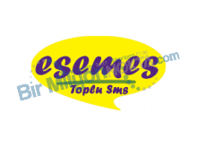ESEMES (TOPLU SMS )