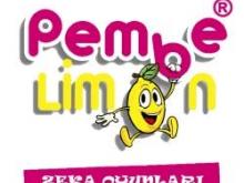 Pembe Limon Zeka Oyunları