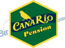 Canario Pension - Çıralı