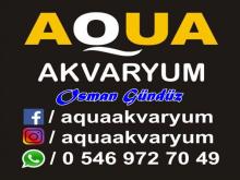 Aqua Akvaryum & Av Malzemeleri