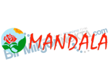 Mandala Art & Pilates Studio
