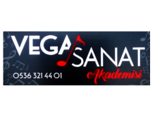 Vega Sanat Akademisi