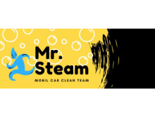 Mr Steam Buharlı Mobil Oto Yıkama