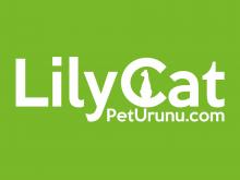 Lilycat - Petshop | Bandırma