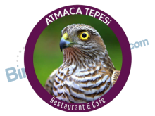 Atmaca Tepesi Cafe Restaurant