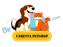 Caretta Petshop