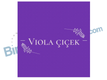 Viola Çiçek