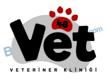 Vet48 Veteriner Kliniği