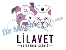 Lilavet Veteriner Kliniği