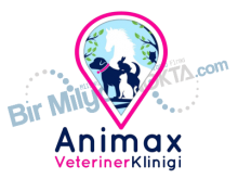 Animax Veteriner Kliniği
