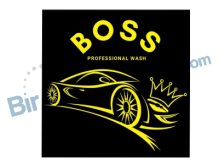 Boss Professional Wash