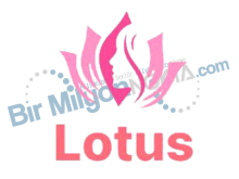 Lotus Bayan Kuaförü