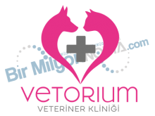 Vetorium Veteriner Kliniği
