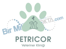 Petricor Veteriner Kliniği  ( yakuplu veteriner kliniği )