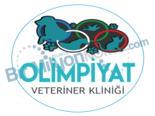 Olimpiyat Veteriner Kliniği