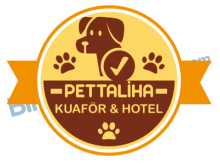 Pettaliha Kuaför & Hotel